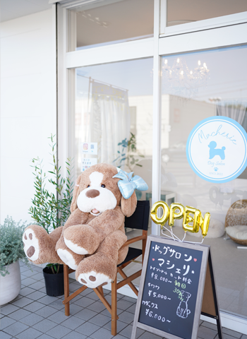ドッグサロンMacherie(マシェリ)