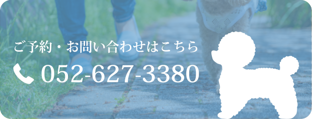 ご予約・お問い合わせはこちら